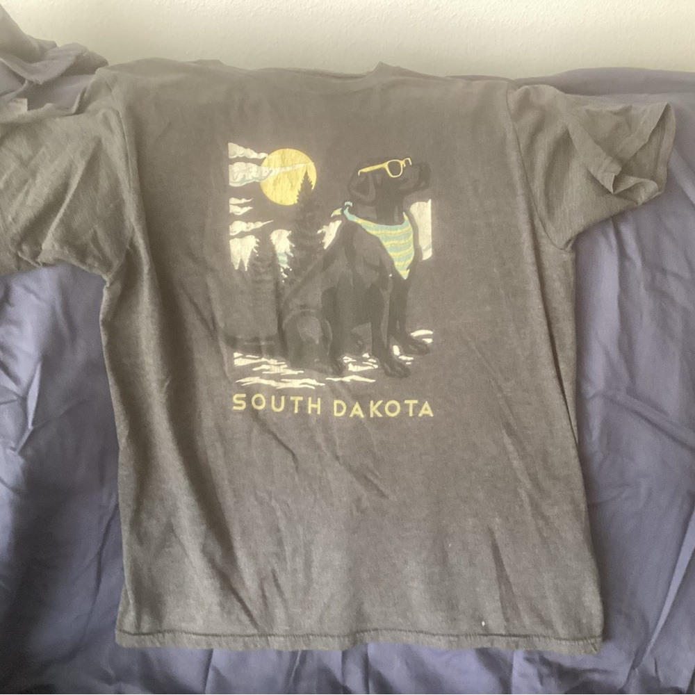Gray South Dakota Graphic T-Shirt